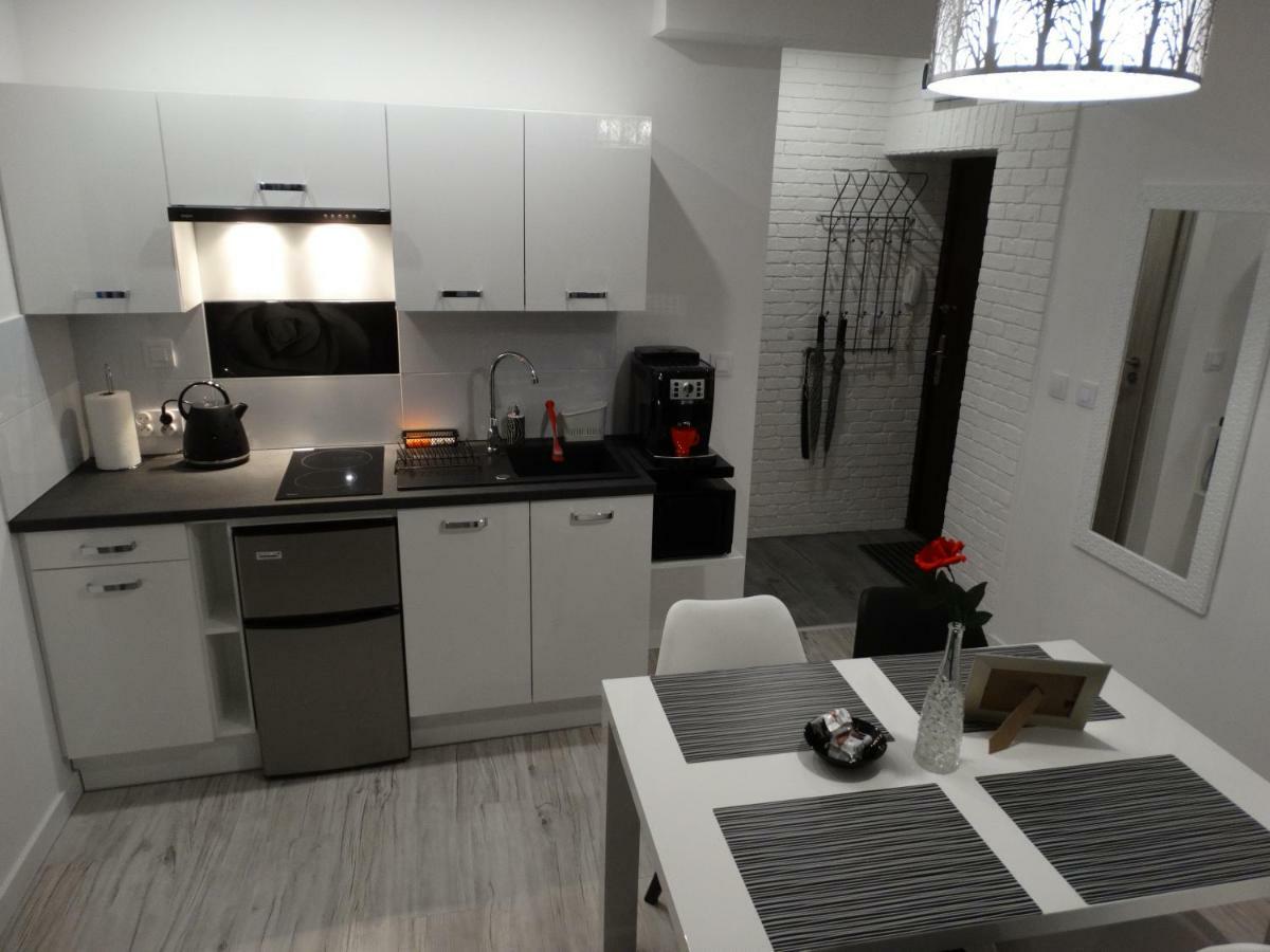 Apartament "Eli" Stary Toruń Exterior foto